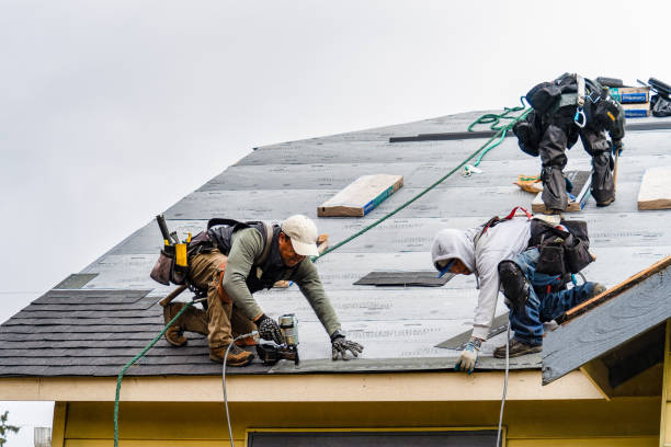Professional Roof Installation technician working in Collins, OH